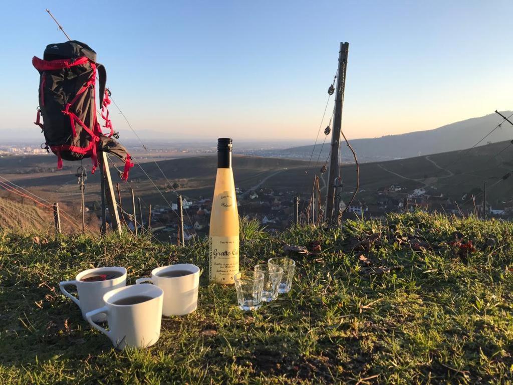 Gite Les Plains Champs Labaroche Dış mekan fotoğraf